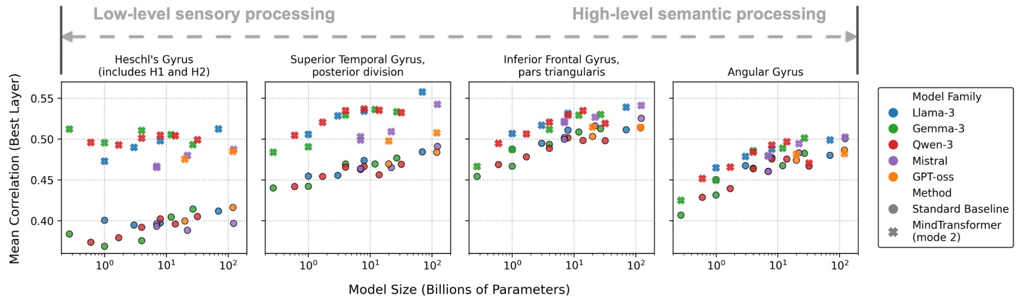 MindTransformer vs model scaling across brain regions